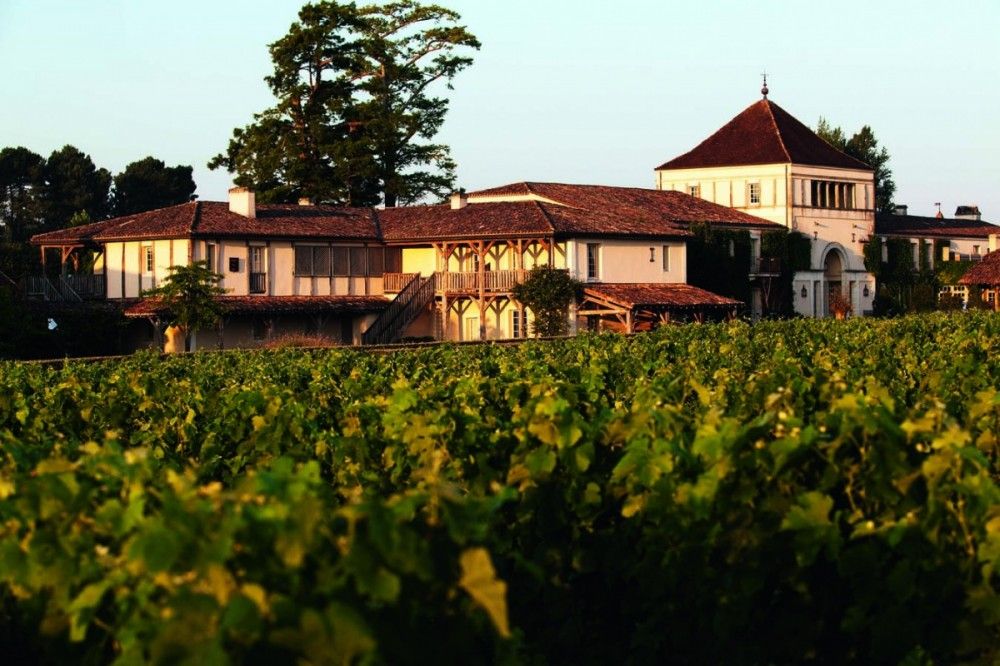 Детокс программа среди виноградников в SPA-отеле Les Sources de Caudalie
